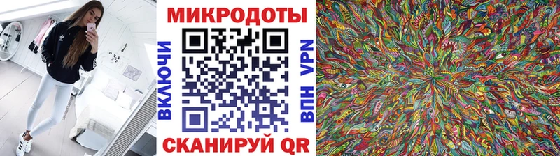 Купить  Гатчина  Галлюциногенные грибы Psilocybe 